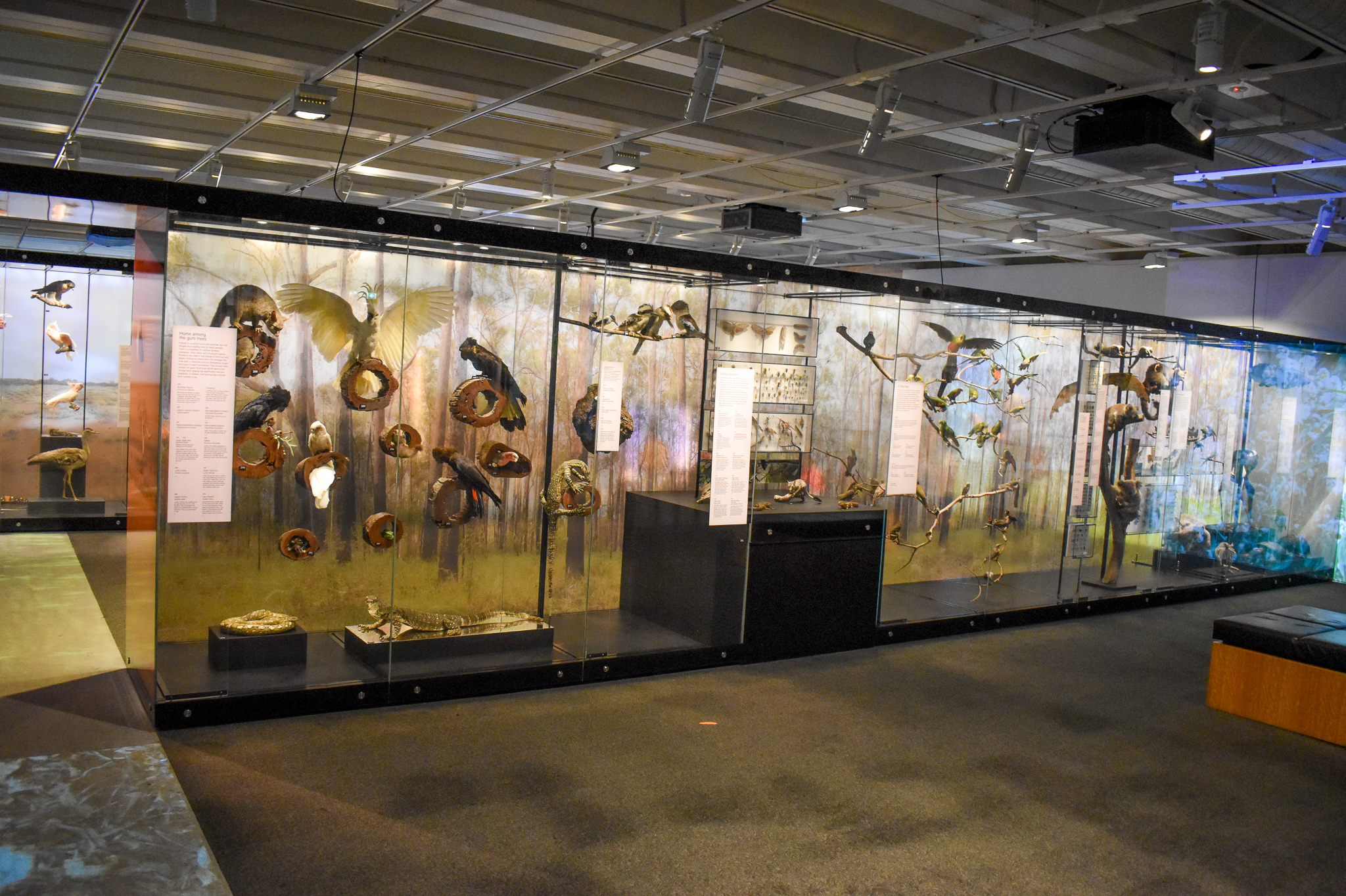 Wild State Exhibition - Bushland