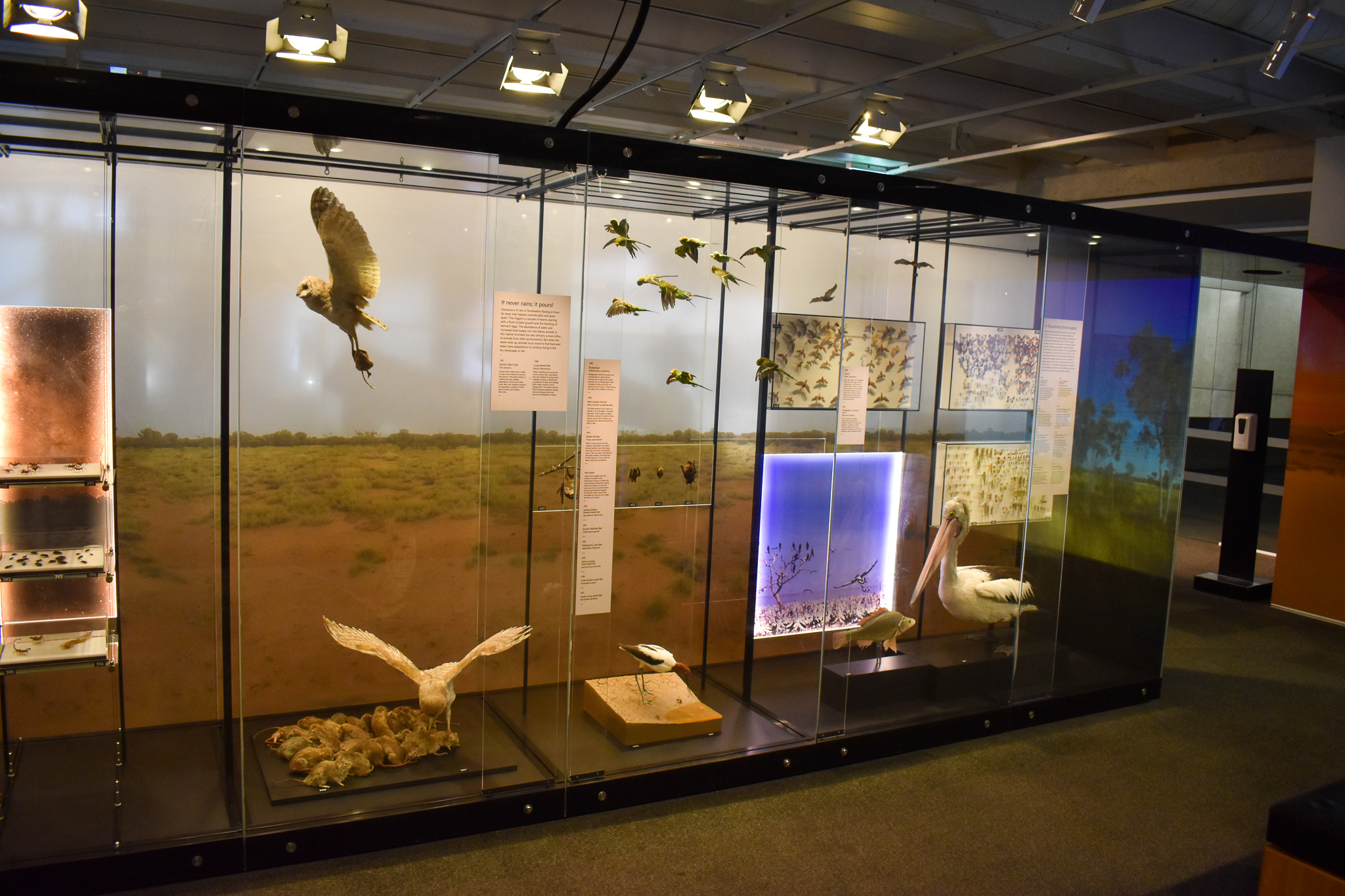 Wild State Exhibition - Inland Areas