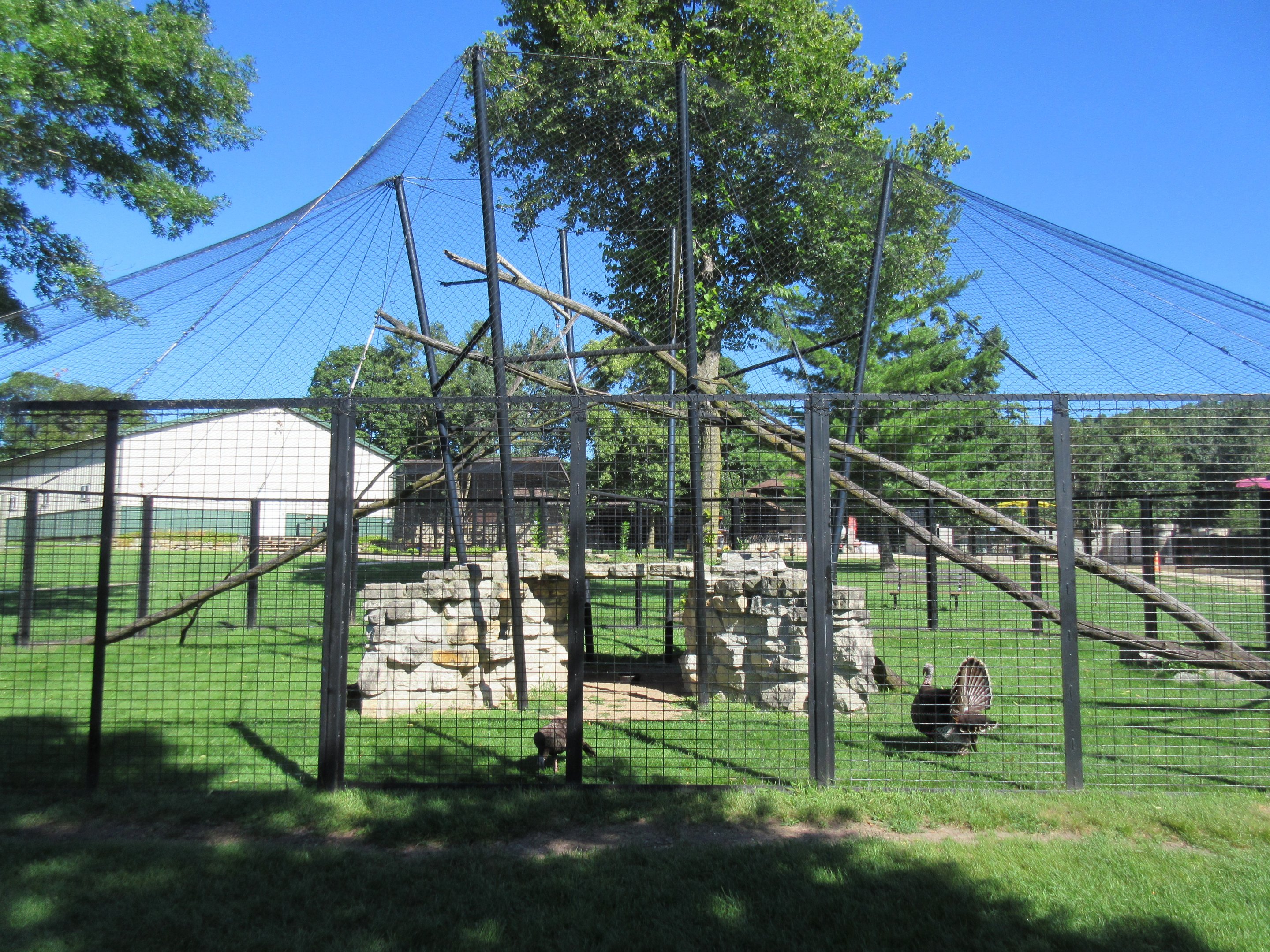 Wild Turkey Aviary