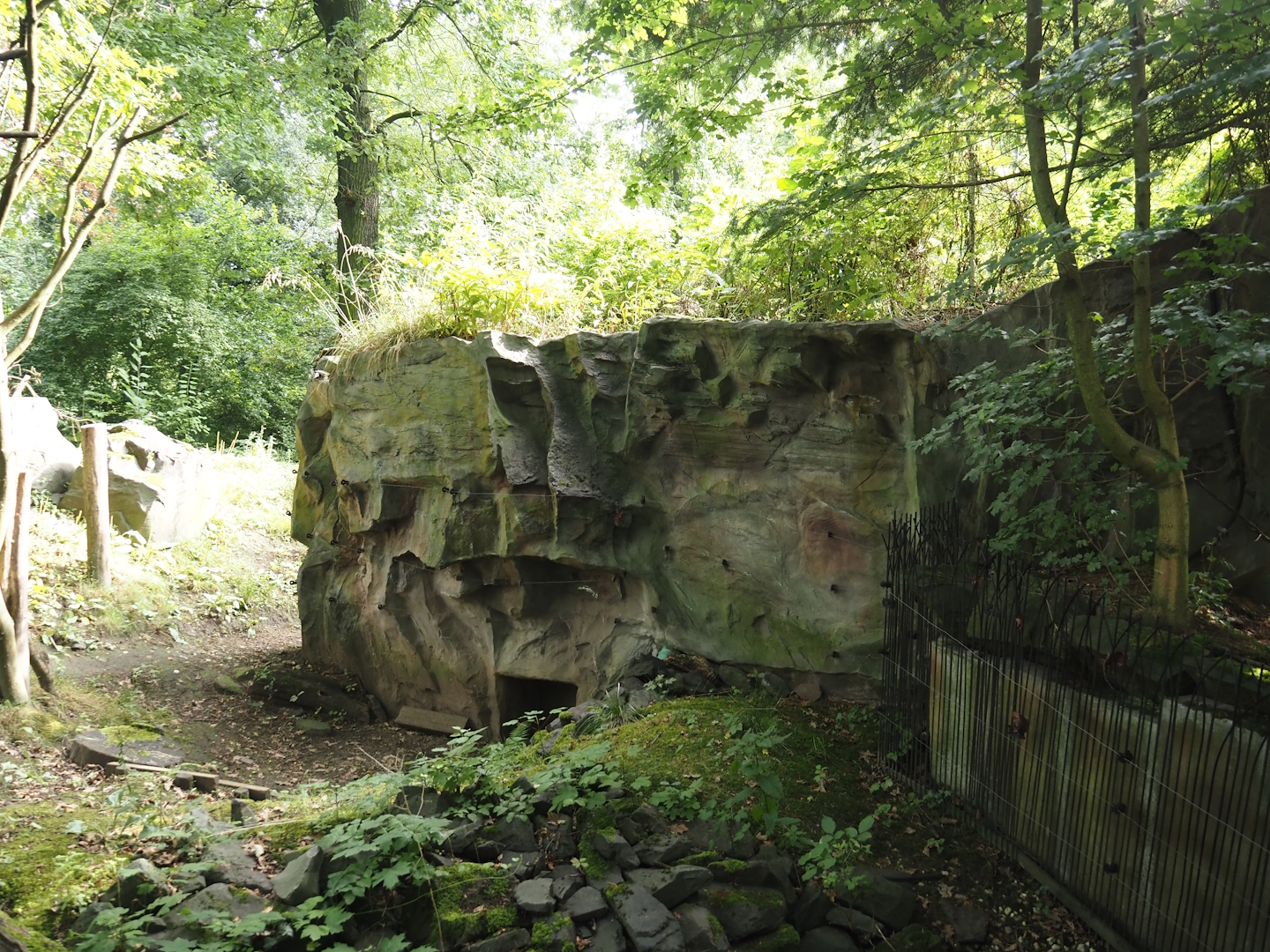 Wild turkey exhibit holding area (Previously Striped skunk and North American porcupine), 2024-08-05