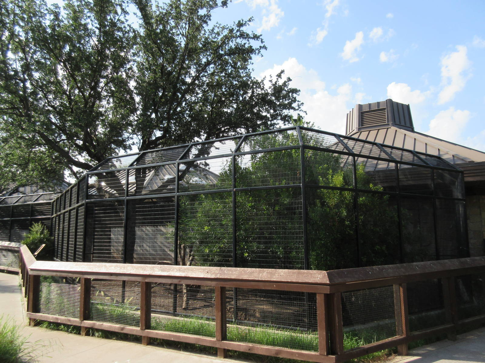 Wild Turkey Exhibit