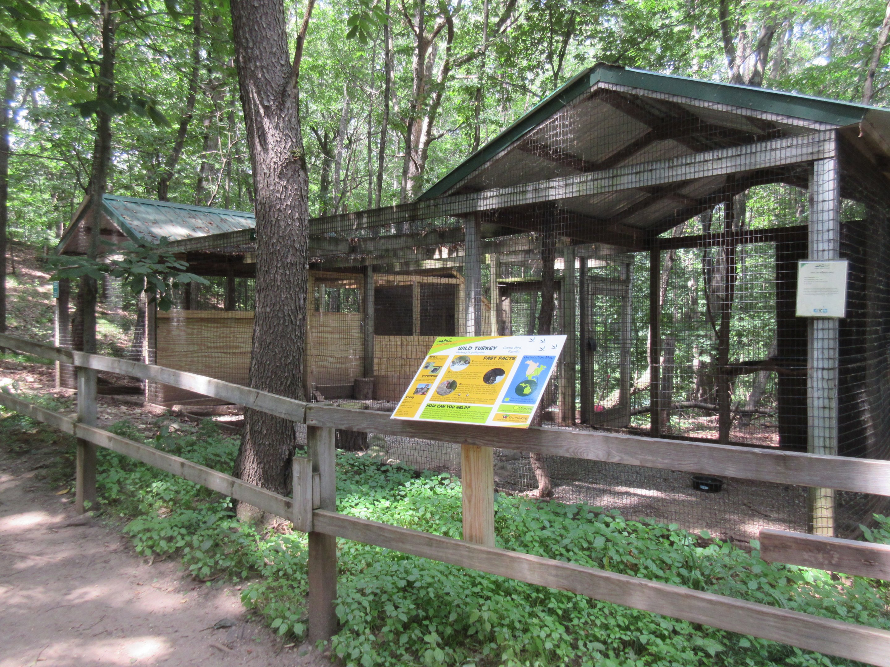 Wild Turkey Exhibit