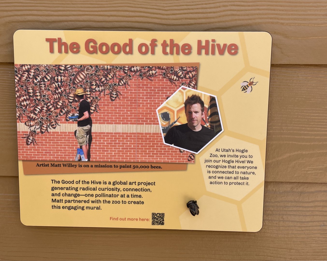 Wild Utah Muralist - Matt Willey