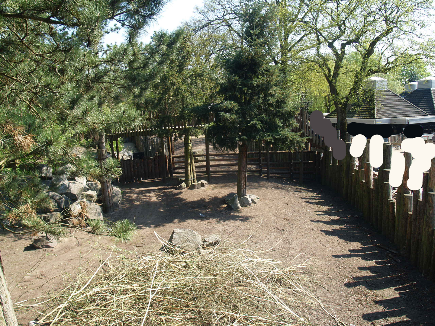 Wild West exhibit and viewing bridge, 2009-04-19