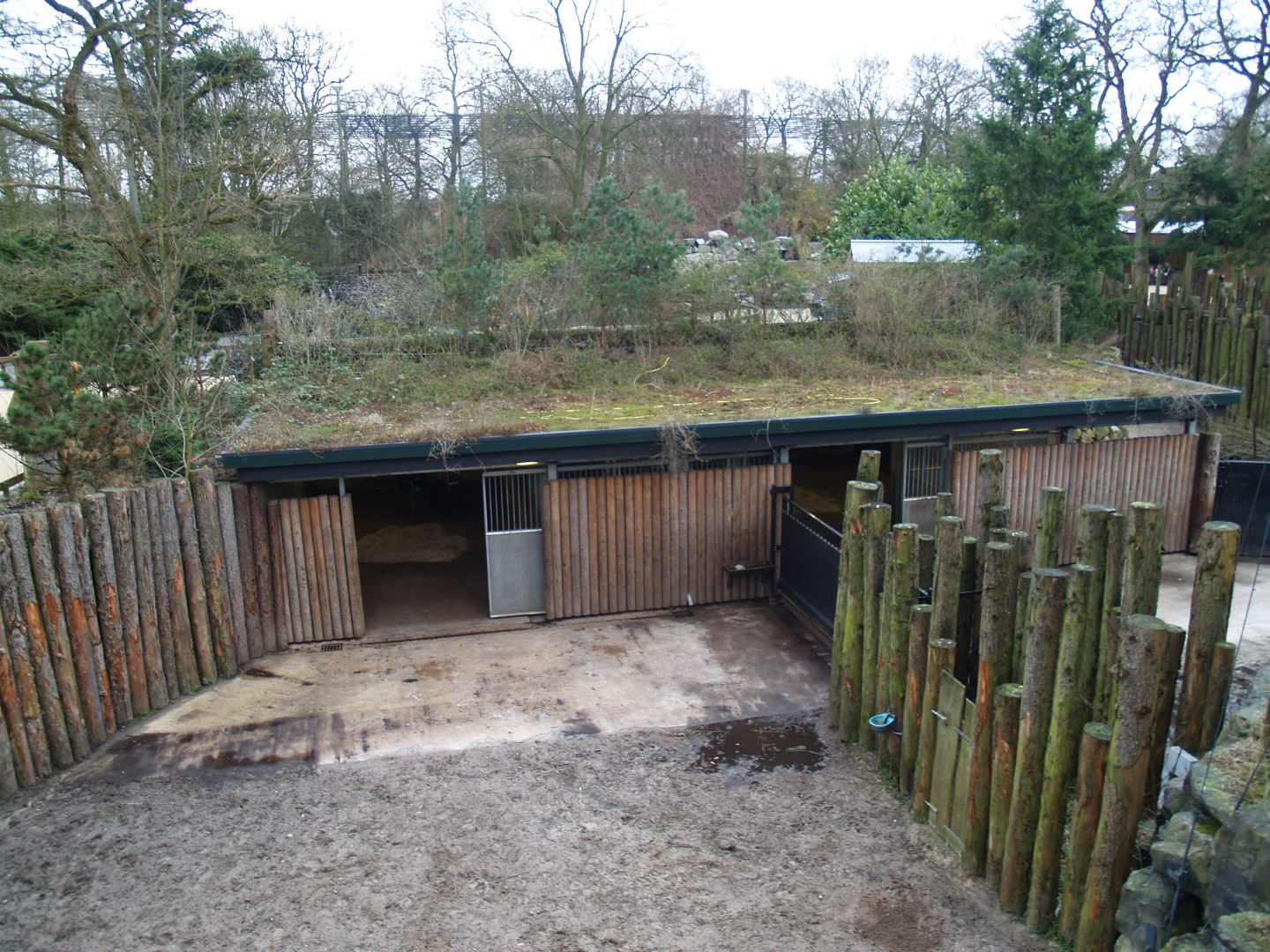 Wild West exhibit bar and side yards, 2008-03-01