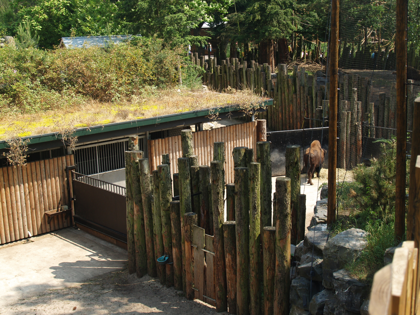 Wild West exhibit - Bison and moose barn and separation paddocks, 2006-07-08