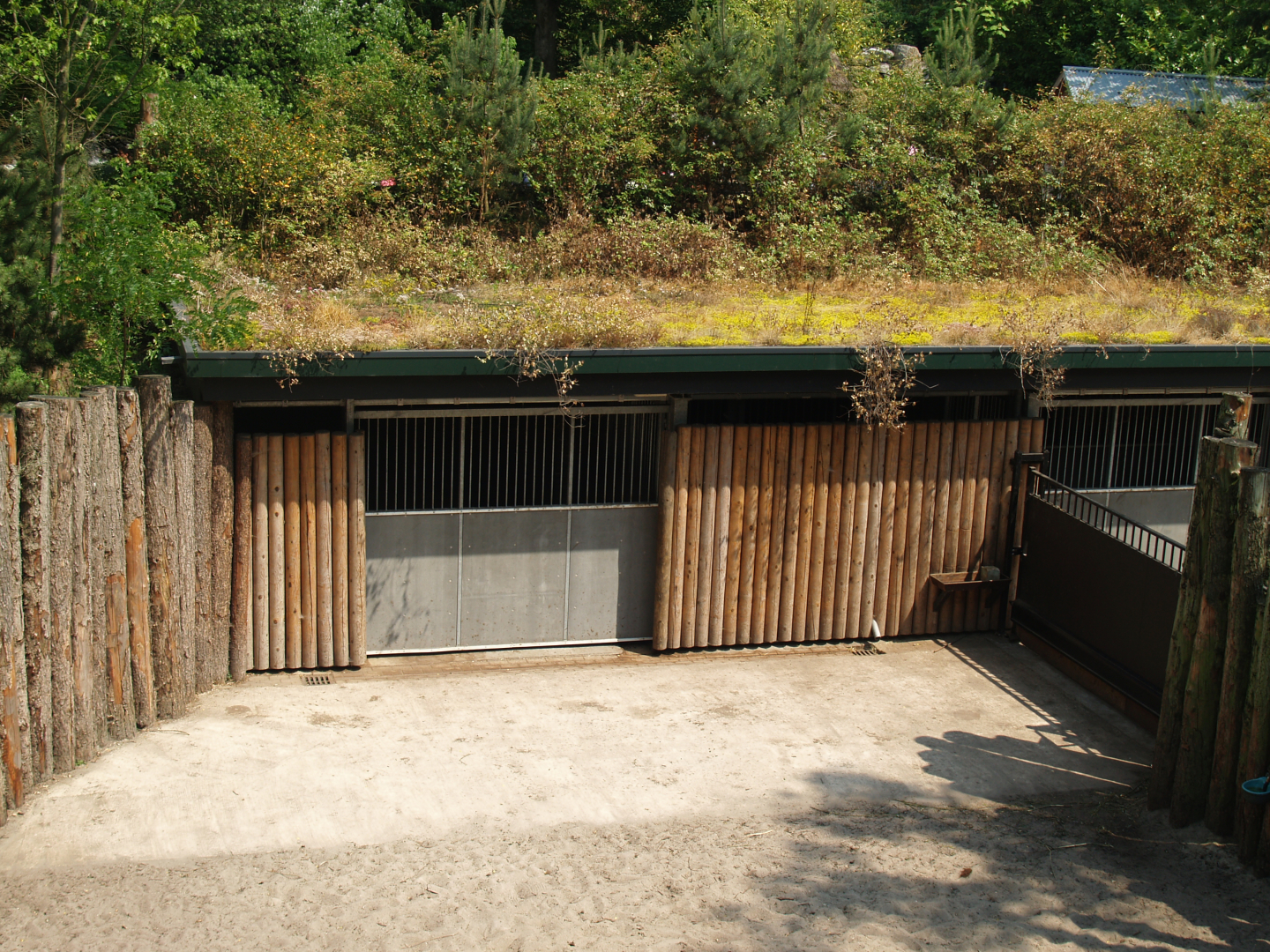 Wild West exhibit - Bison and moose barn and separation paddocks, 2006-07-08