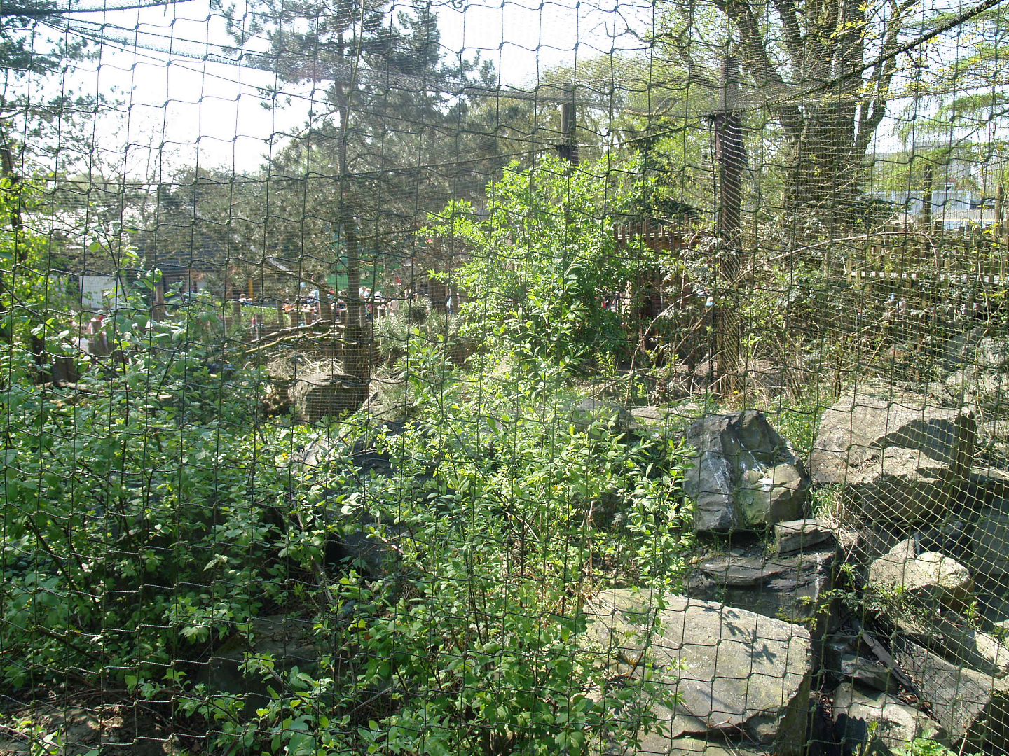 Wild West exhibit - Eurasian great grey owl aviary, 2009-04-19