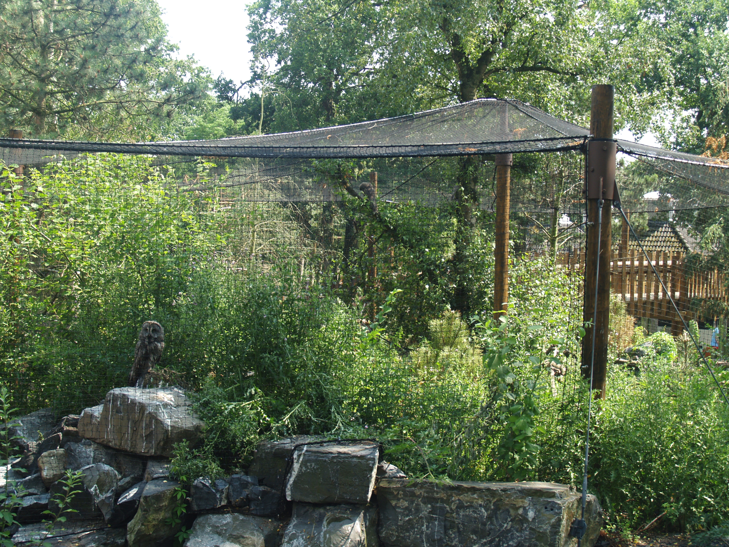 Wild West exhibit - Great grey owl aviary, partially built above the visitor bridge, 2006-07-08