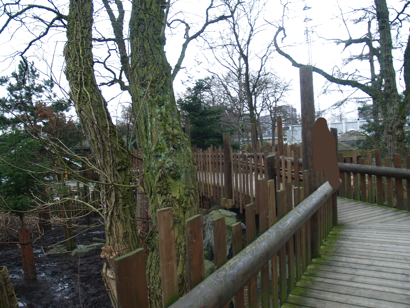 Wild West exhibit viewing bridge, 2008-03-01