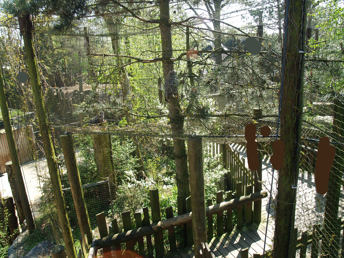 Wild West exhibit - Walkway underneath Eurasian great grey owl aviary, 2009-04-19