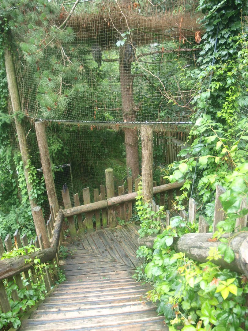 Wild West exhibit walkway underneath the Eurasian great grey owl aviary, 2015-07-19