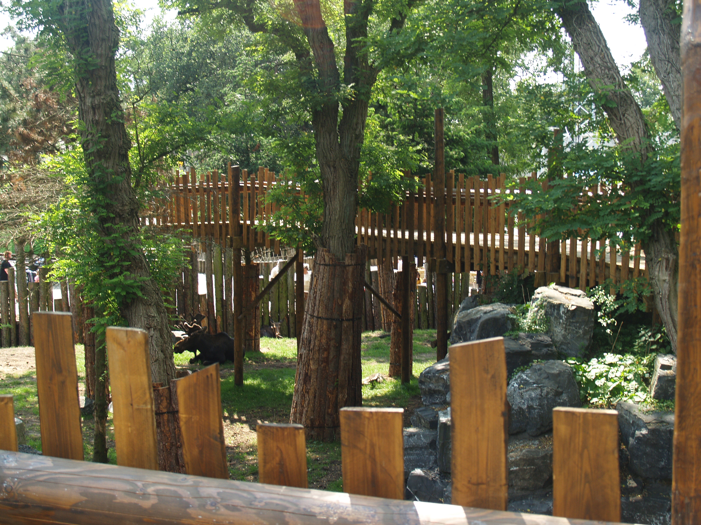 Wild West exhibit with visitor bridge, 2006-07-08