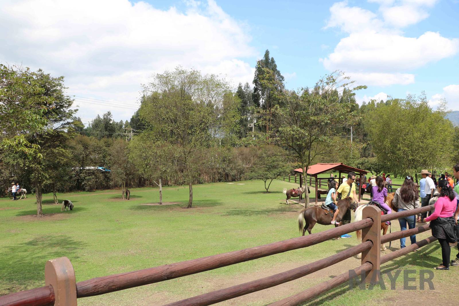 (Wild West) pony rides, March 2016