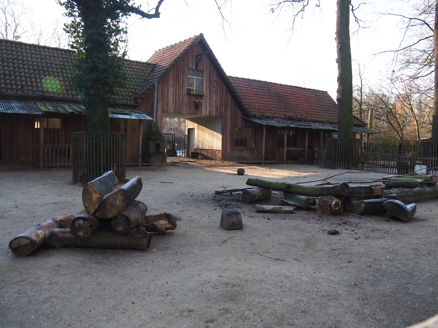 Wild West themed petting zoo (Jan 20th, 2019)