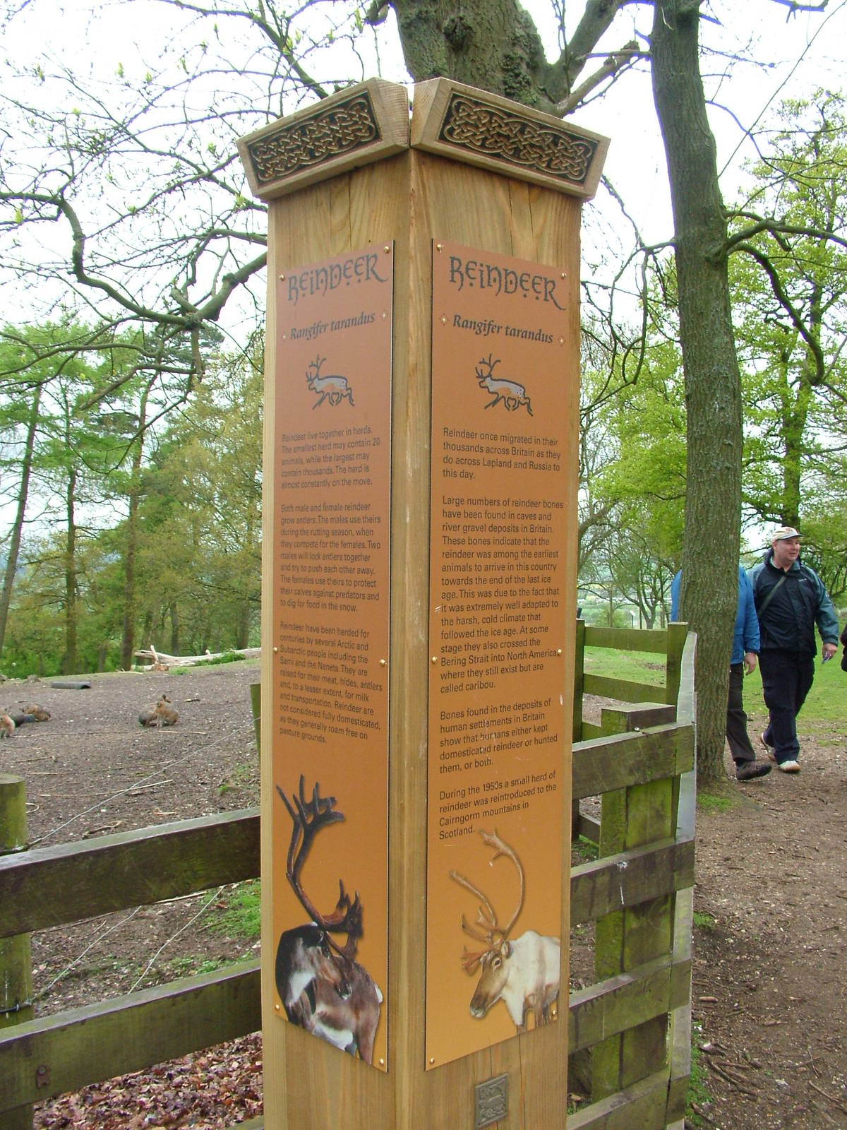 Wild Wild Whipsnade signage example at Whipsnade 08/05/10