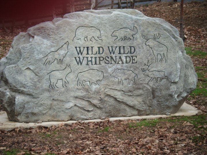 wild wild whipsnade