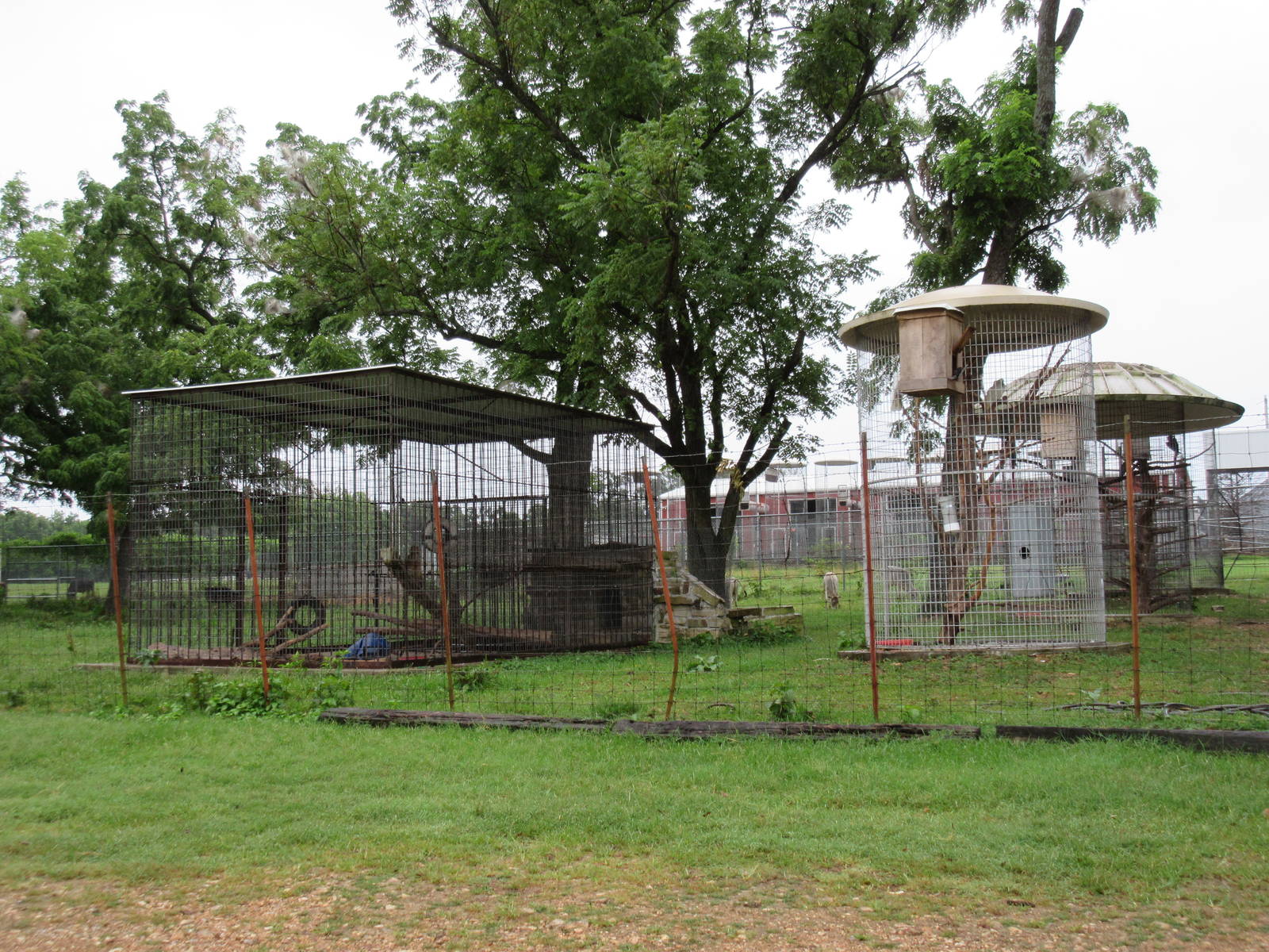 Wild Wilderness Drive Through Safari - Assorted Primate Exhibits