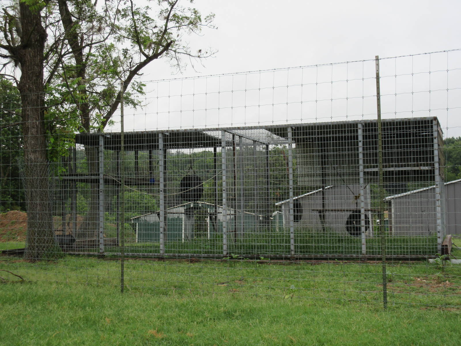 Wild Wilderness Drive Through Safari - Baboon Cages