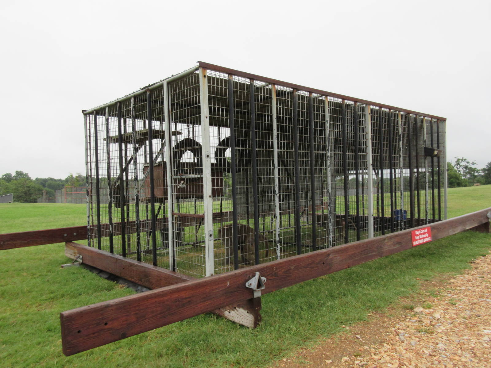 Wild Wilderness Drive Through Safari - Baboon Cages