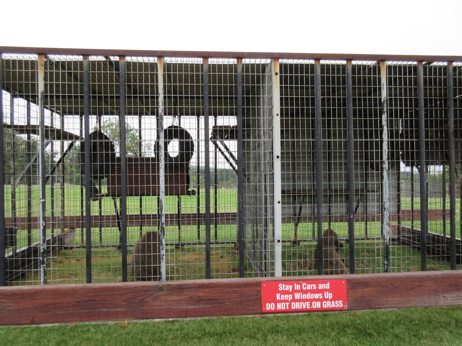 Wild Wilderness Drive Through Safari - Baboon Cages