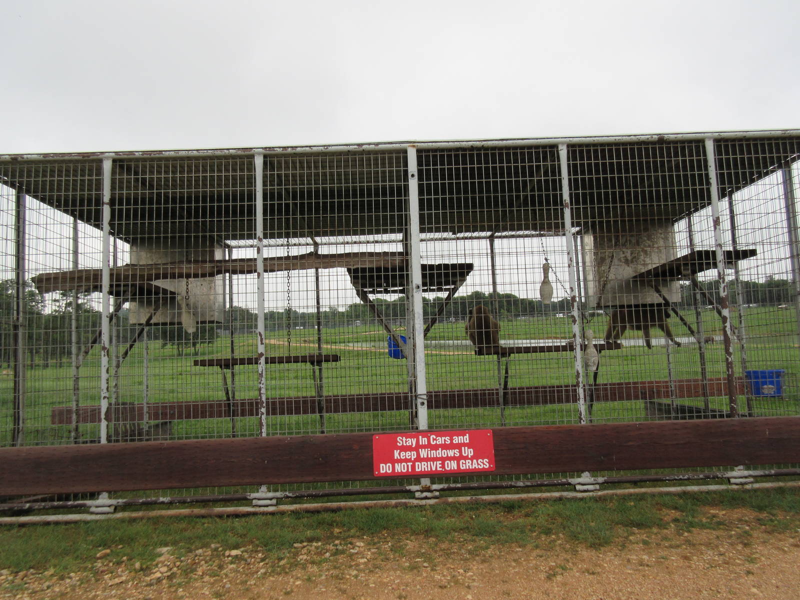 Wild Wilderness Drive Through Safari - Baboon Cages
