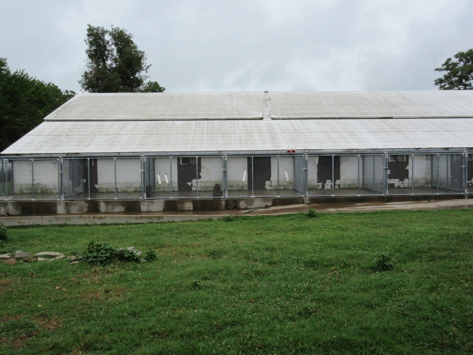 Wild Wilderness Drive Through Safari - Baboon Cages