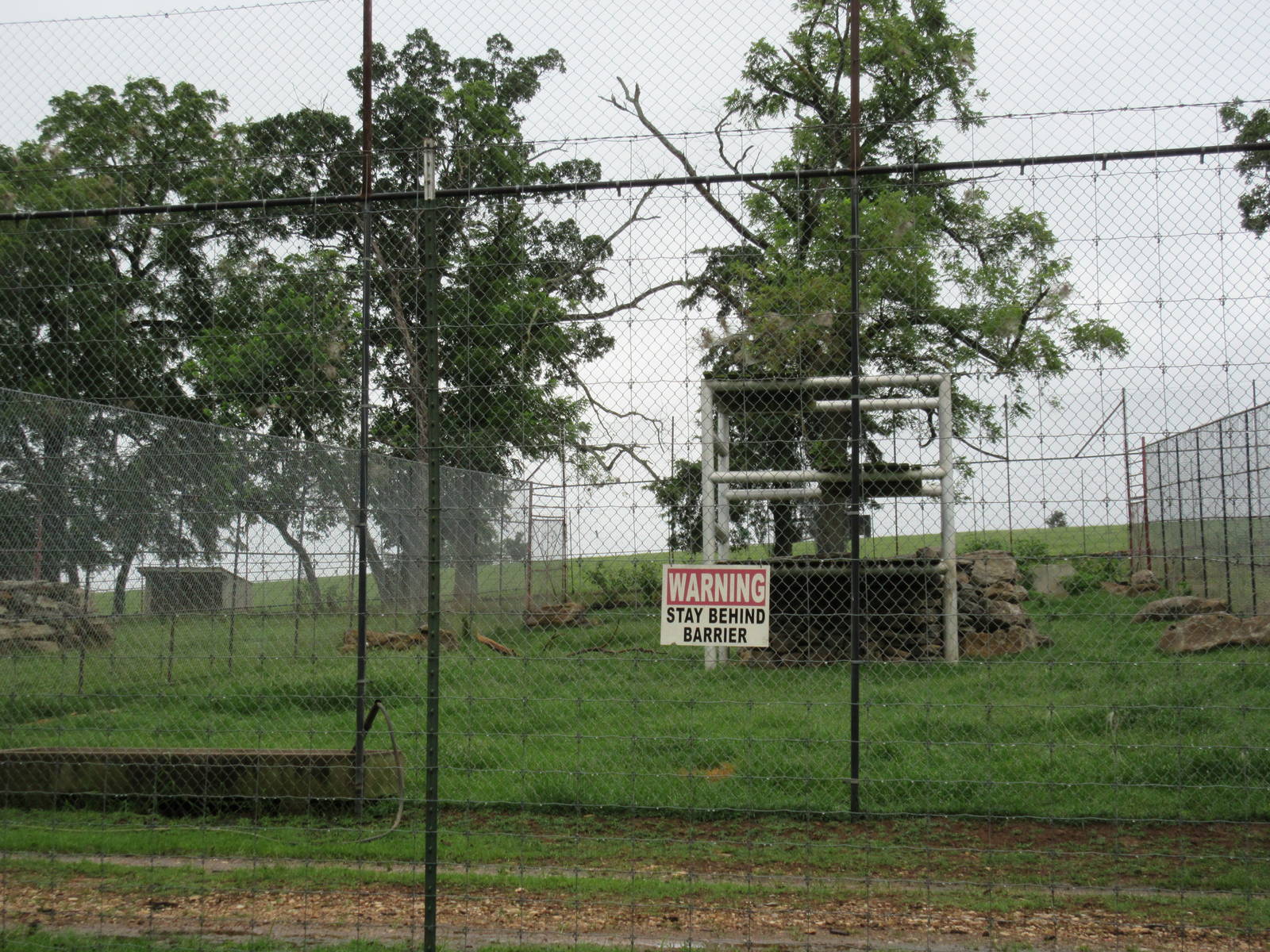 Wild Wilderness Drive Through Safari - Bengal Tiger Exhibit