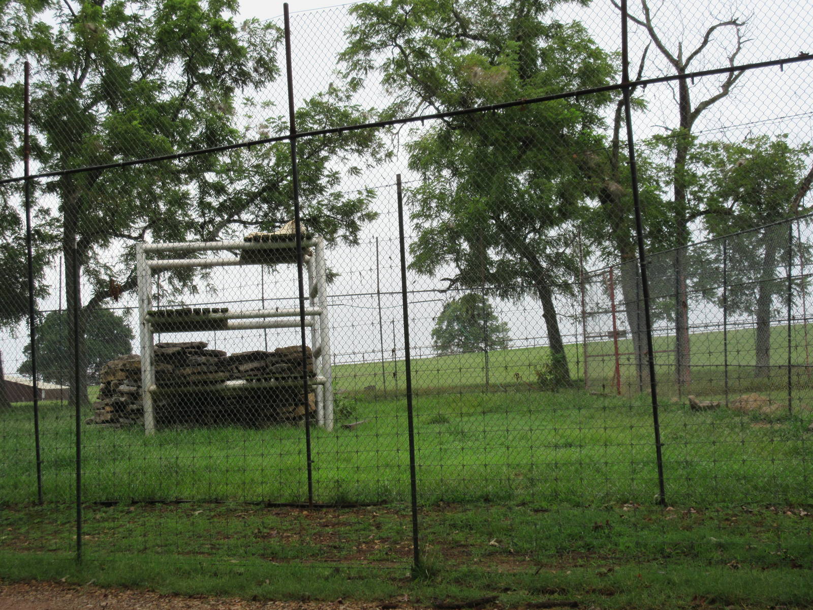 Wild Wilderness Drive Through Safari - Bengal Tiger Exhibit