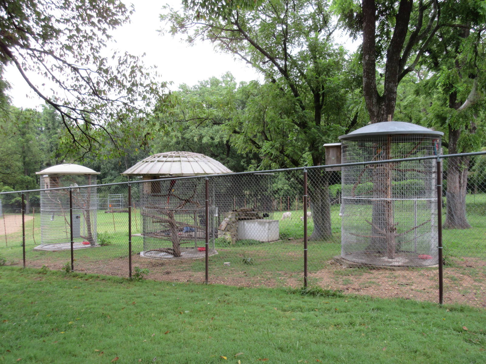 Wild Wilderness Drive Through Safari - Bird Aviaries