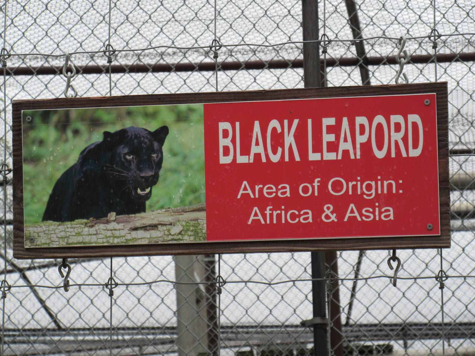 Wild Wilderness Drive Through Safari - Classic Sign!