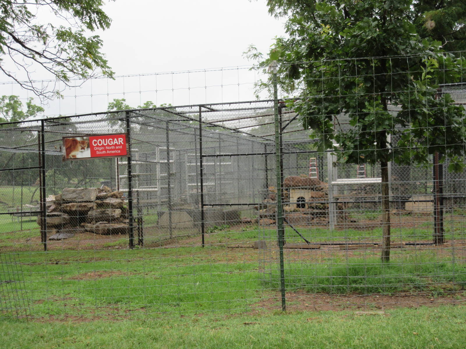Wild Wilderness Drive Through Safari - Cougar Exhibit