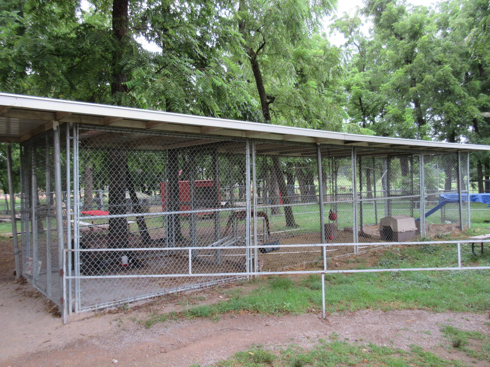 Wild Wilderness Drive Through Safari - Cougar Exhibit