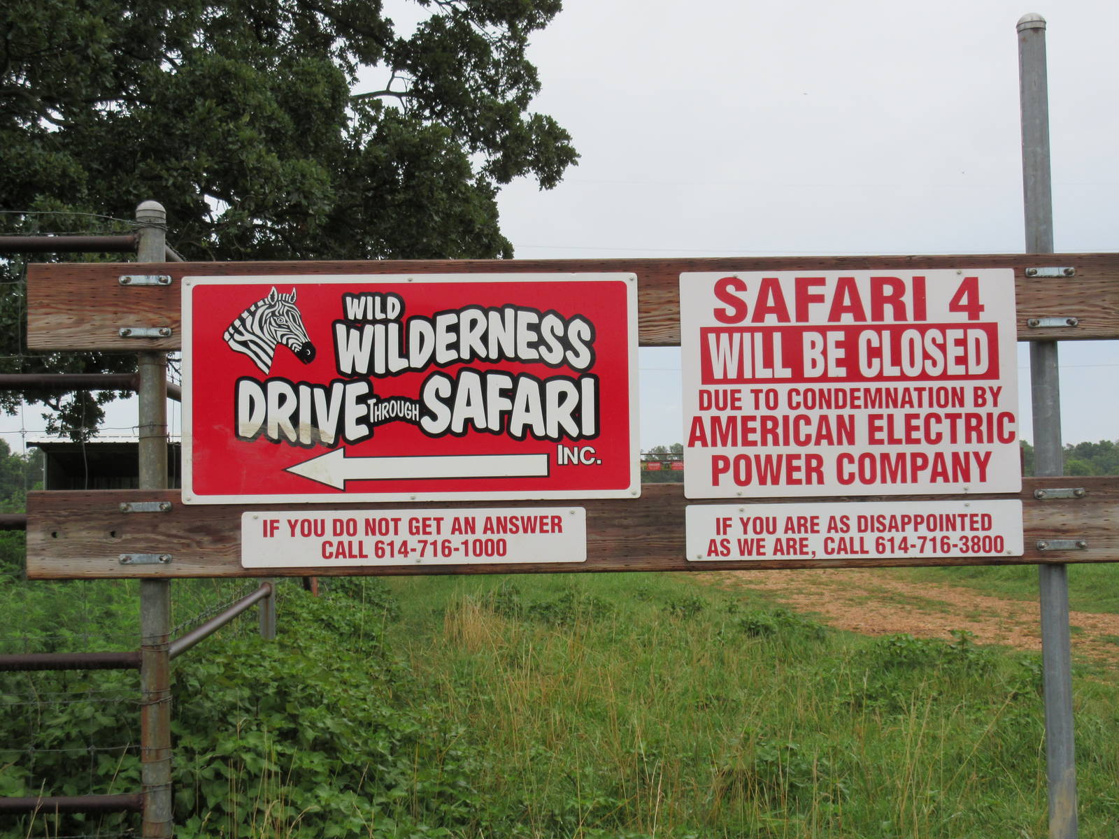 Wild Wilderness Drive Through Safari - Didn't They Pay The Electric Bill?