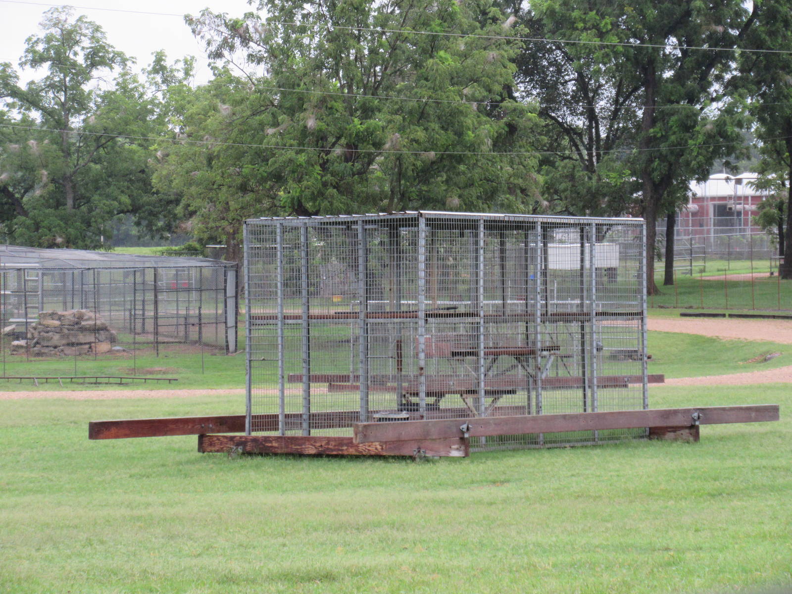 Wild Wilderness Drive Through Safari - Empty Cage