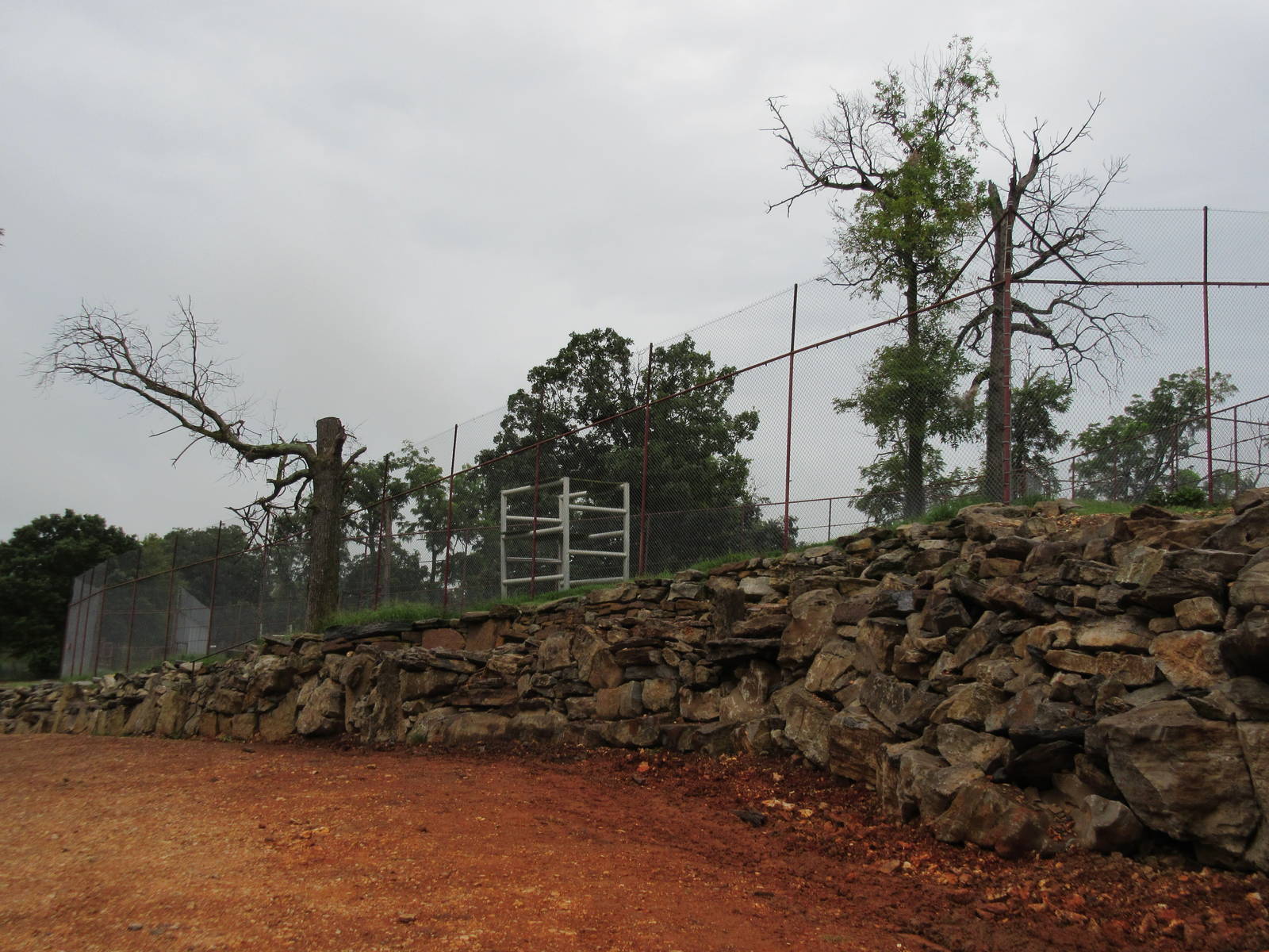 Wild Wilderness Drive Through Safari - Lion Exhibit