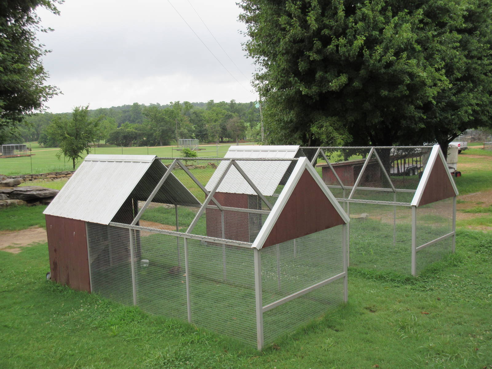 Wild Wilderness Drive Through Safari - Pheasant Aviaries