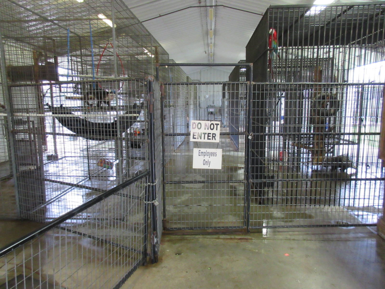 Wild Wilderness Drive Through Safari - Primate Barn Interior