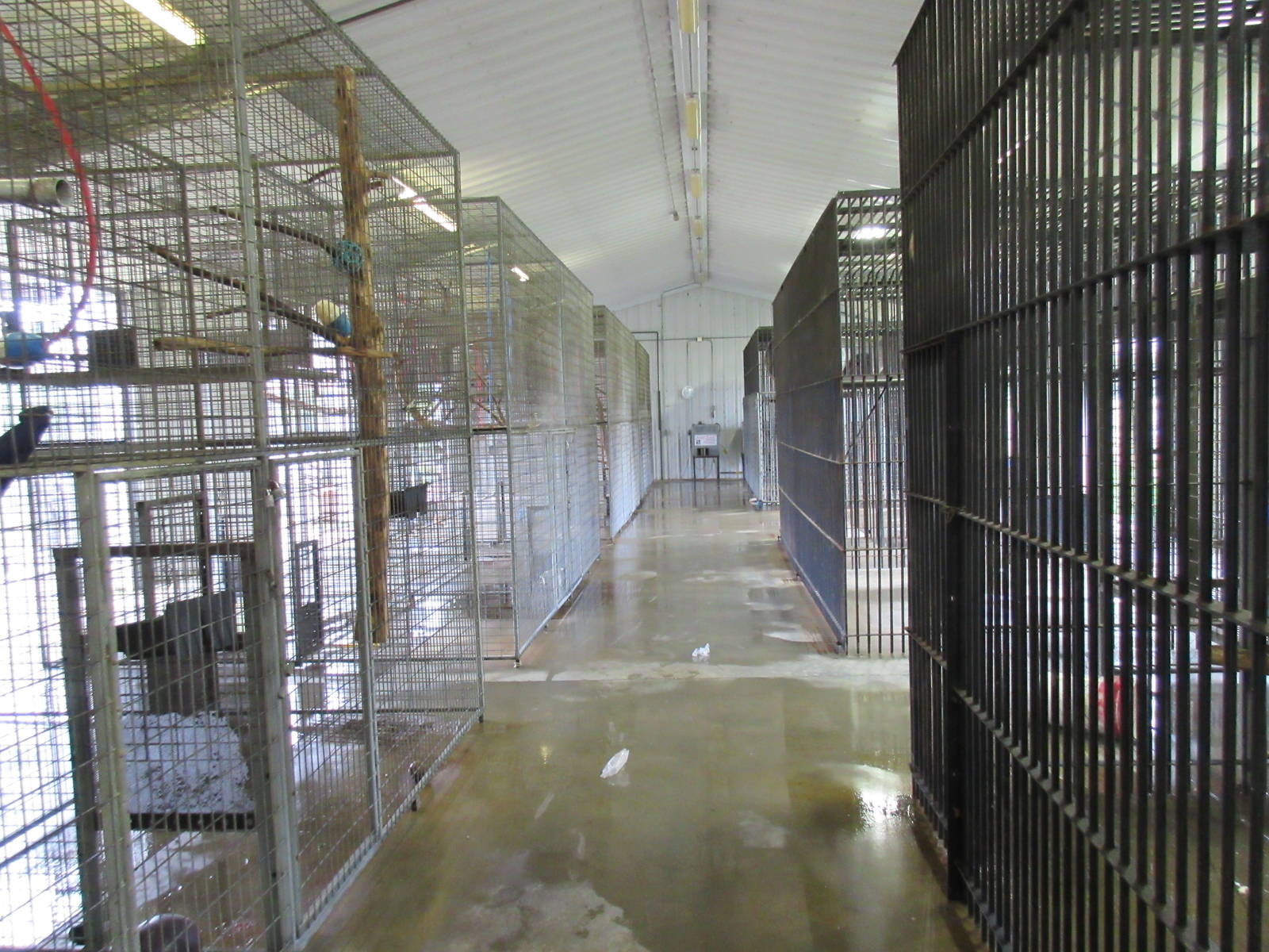 Wild Wilderness Drive Through Safari - Primate Barn Interior