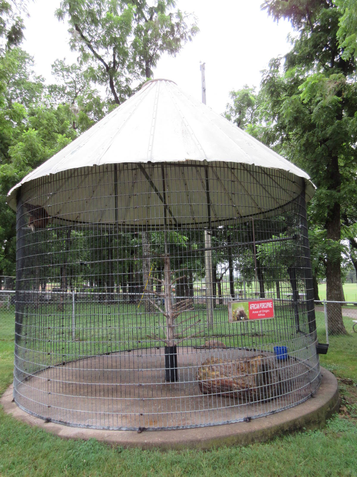 Wild Wilderness Drive Through Safari - White-Handed Gibbon Exhibit