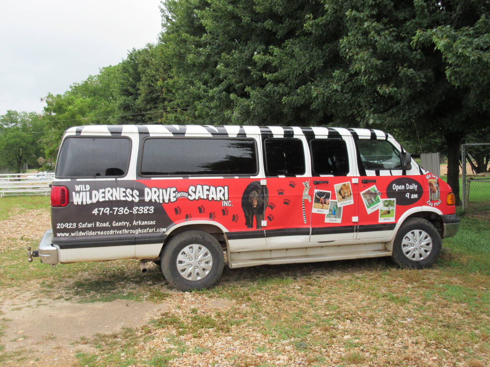 Wild Wilderness Drive Through Safari - Zoo Van