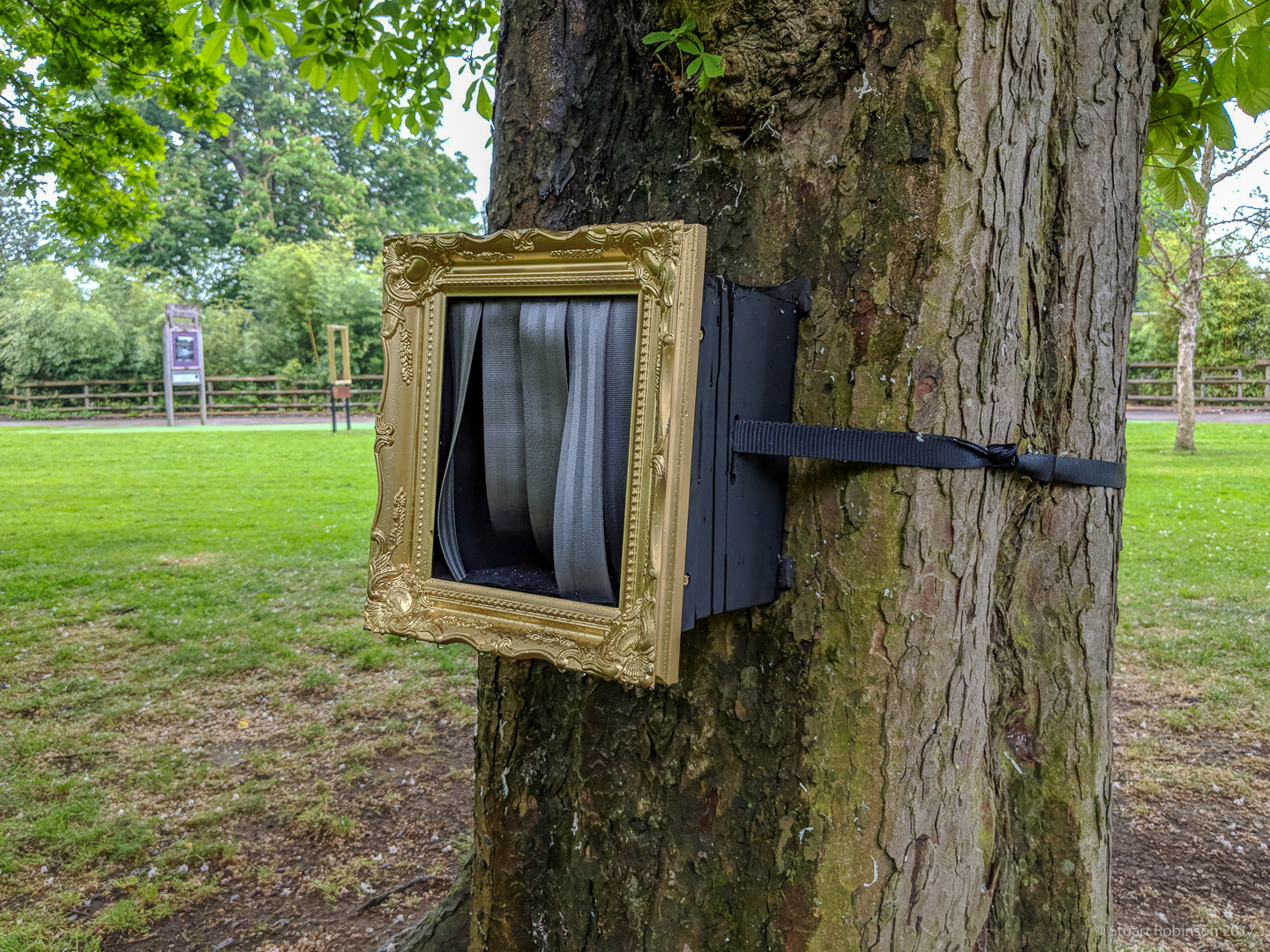 Wild Worlds - Celebritrees - 25/05/2018