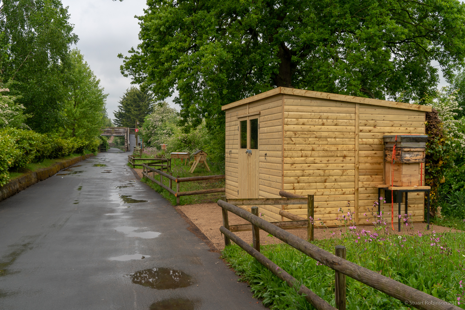 Wild Worlds - Honey Bee Garden - 25/05/2018