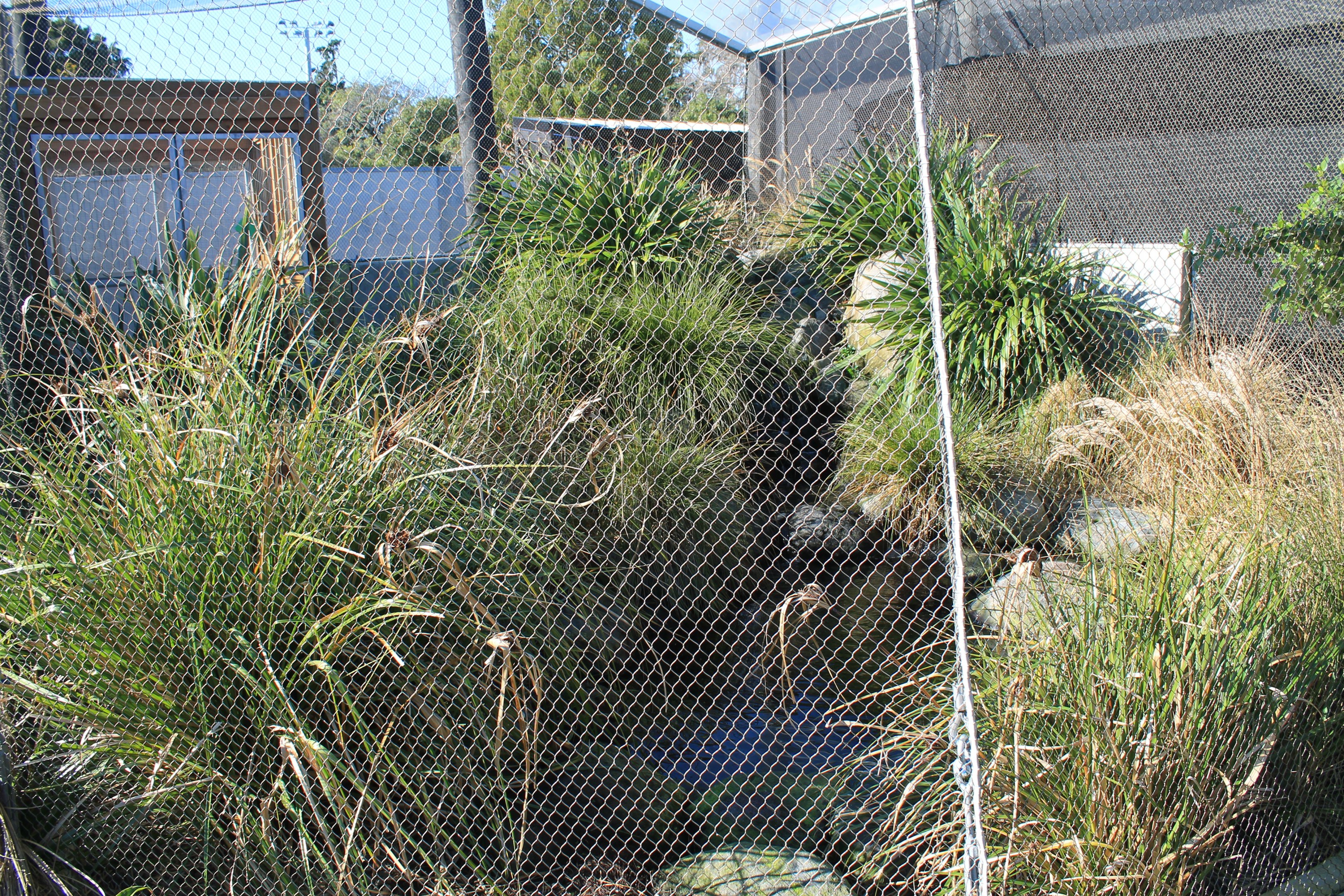 Wildbase Recovery - Blue Duck aviary