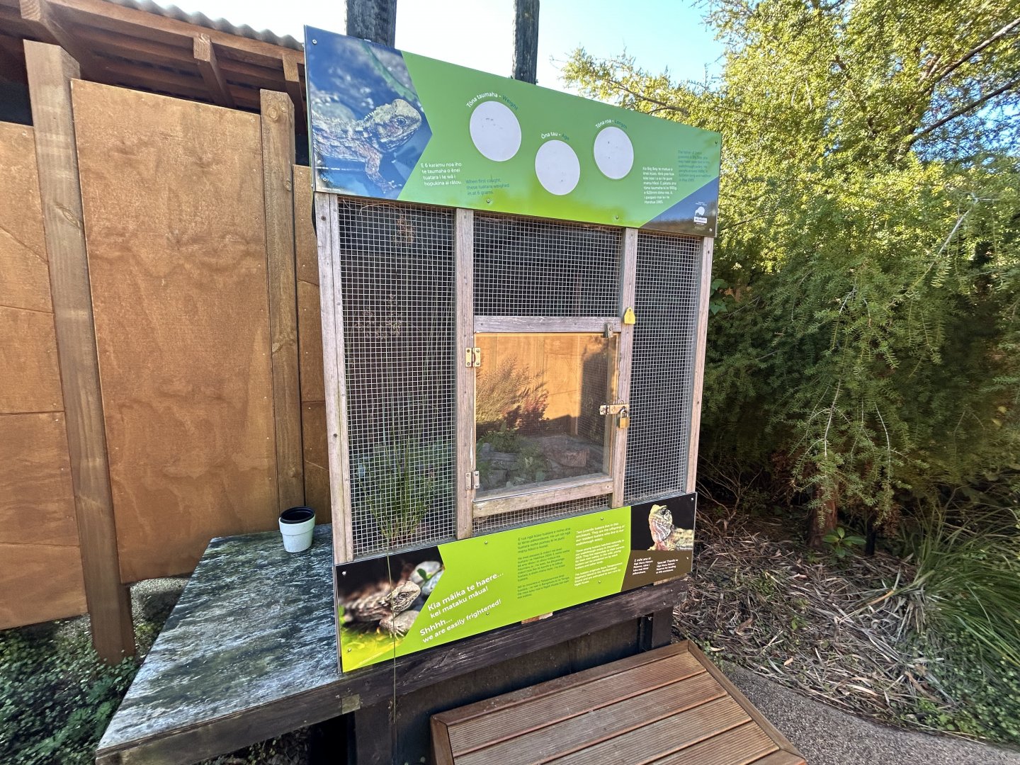 Wildbase Recovery Center - Juvenile Tuatara Exhibit
