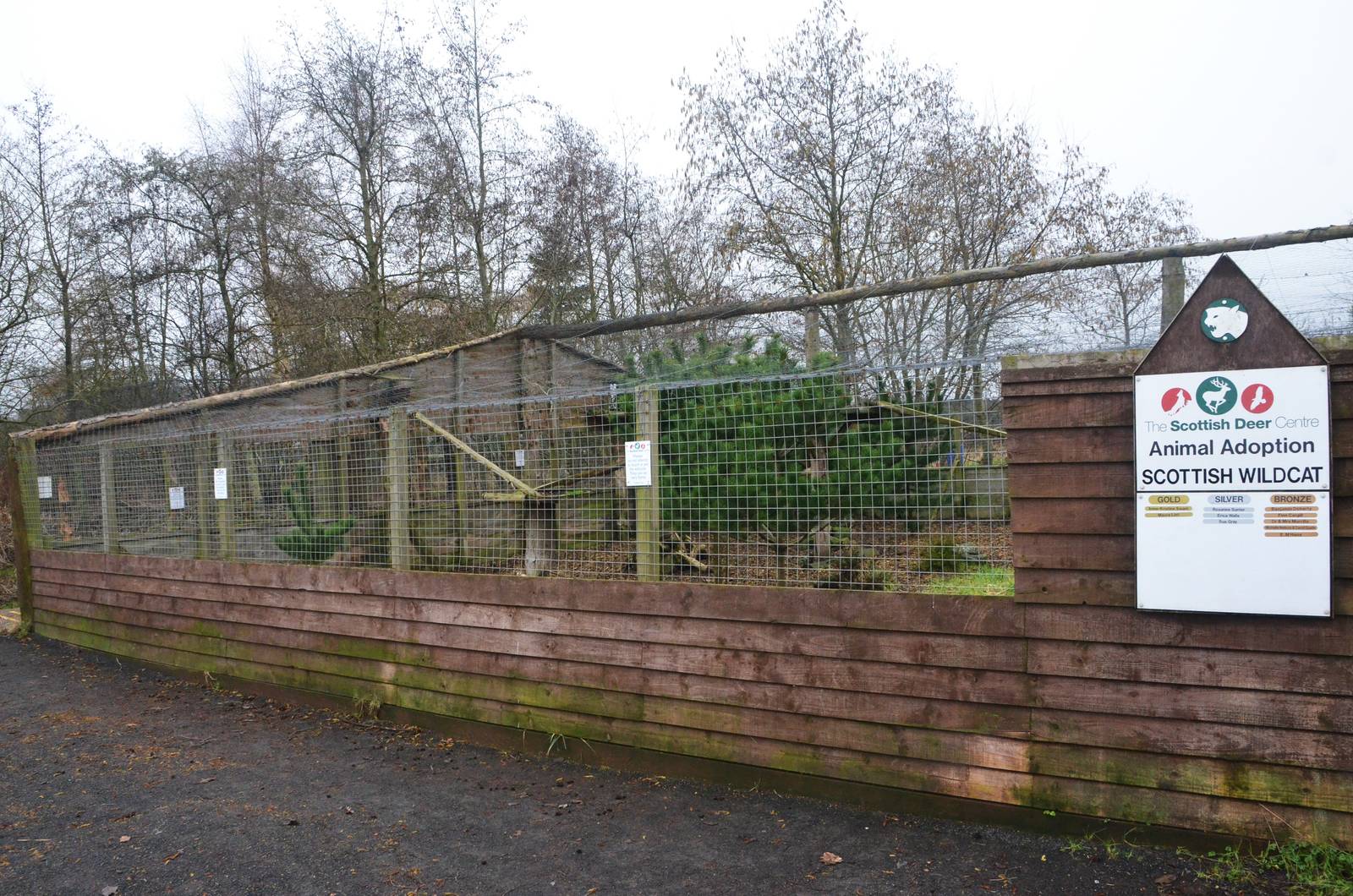 Wildcat Enclosure at the Scottish Deer Centre, 06/02/16
