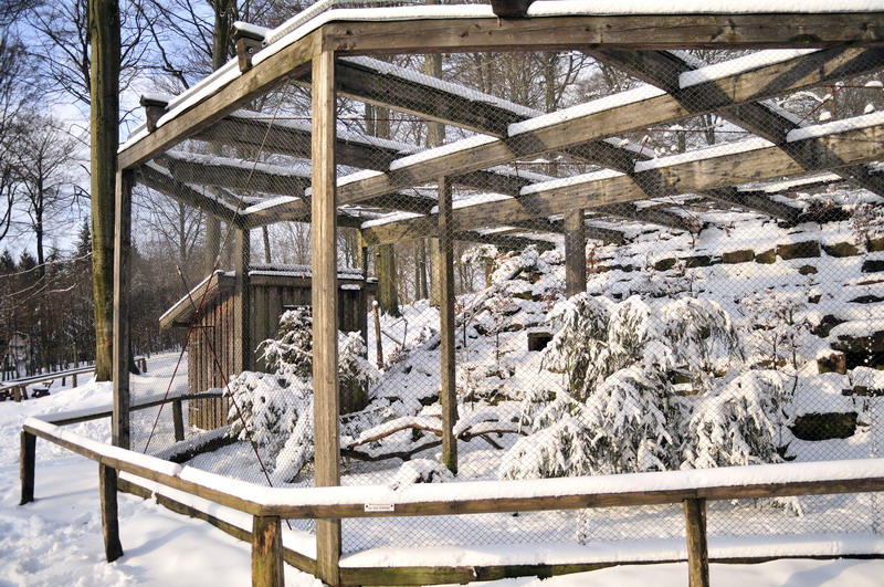Wildcat-enclosure at Wildpark Neuhaus