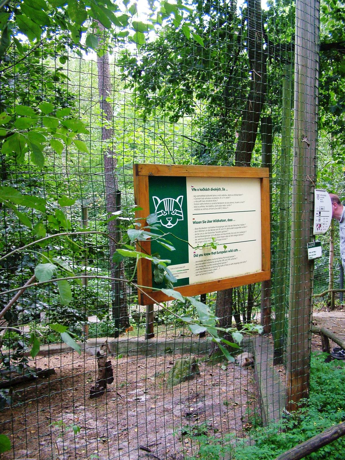 Wildcat Exhibit at Decin, 28/08/12