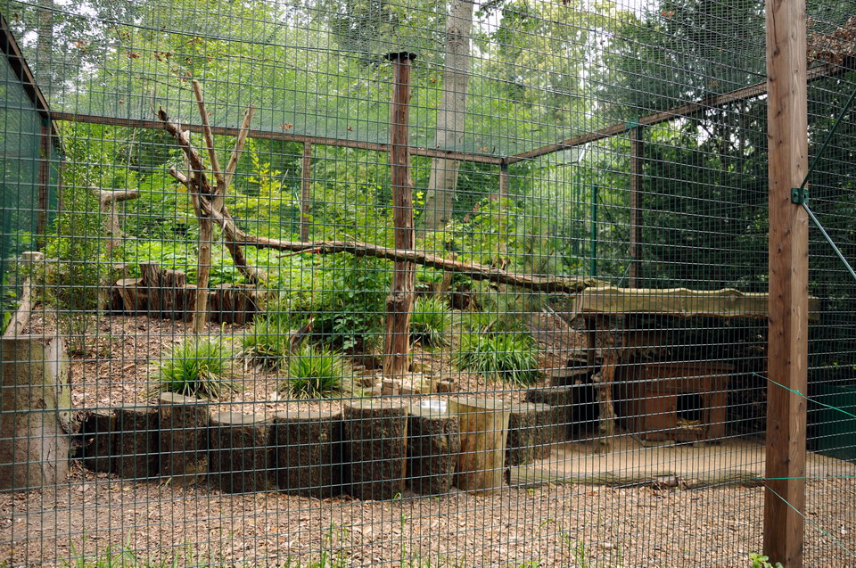Wildcat exhibit at Dessau