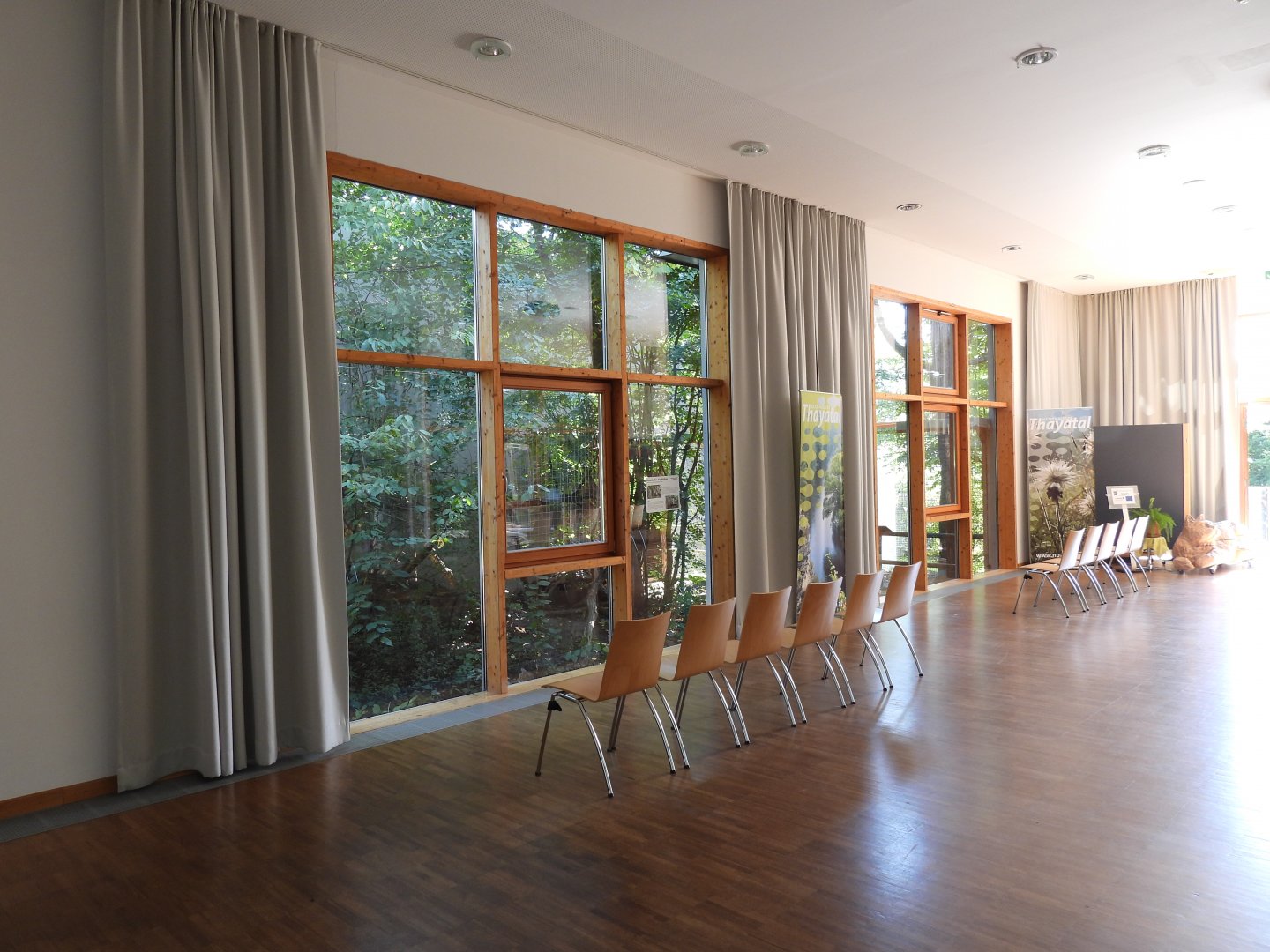 Wildcat exhibit at the national park house Thayatal - indoor visitor area